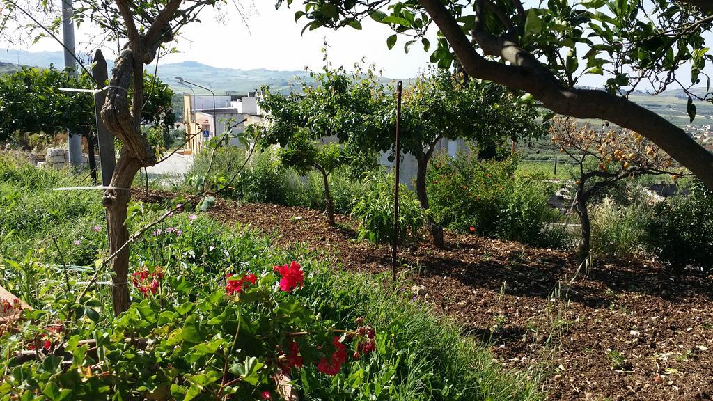 瓦尔德利切Sole E Fiori Di Sicilia公寓 外观 照片